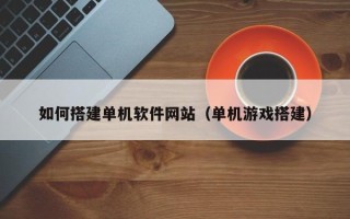 酒泉如何搭建单机软件网站（单机游戏搭建）